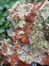 Load image into Gallery viewer, Statement Adamite Specimen from Mexico
