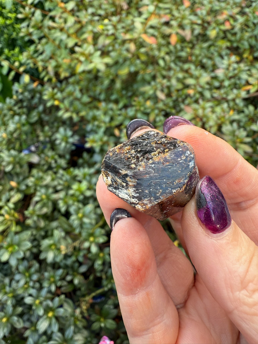 Terminated Yinnietharra Dravite Tourmaline