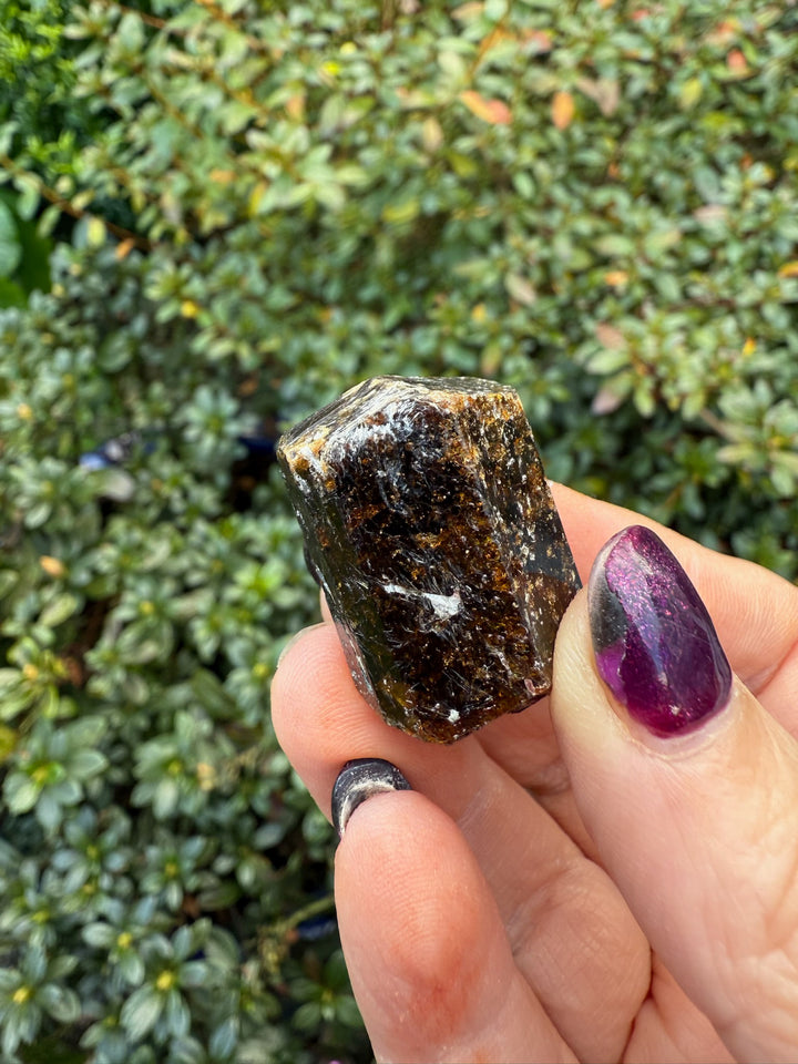 Terminated Yinnietharra Dravite Tourmaline