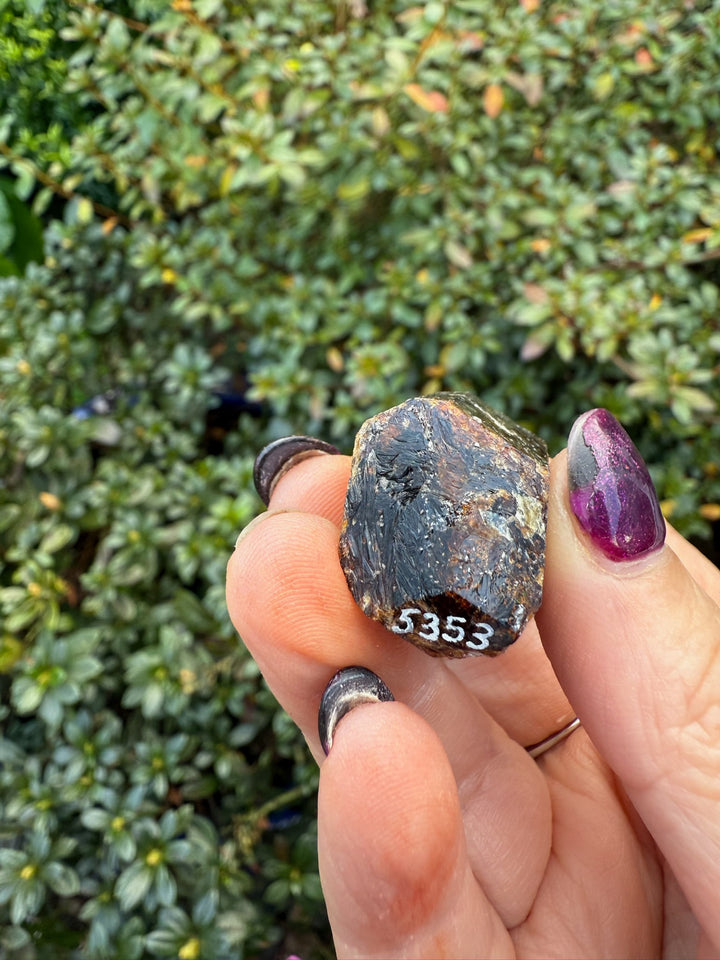 Terminated Yinnietharra Dravite Tourmaline