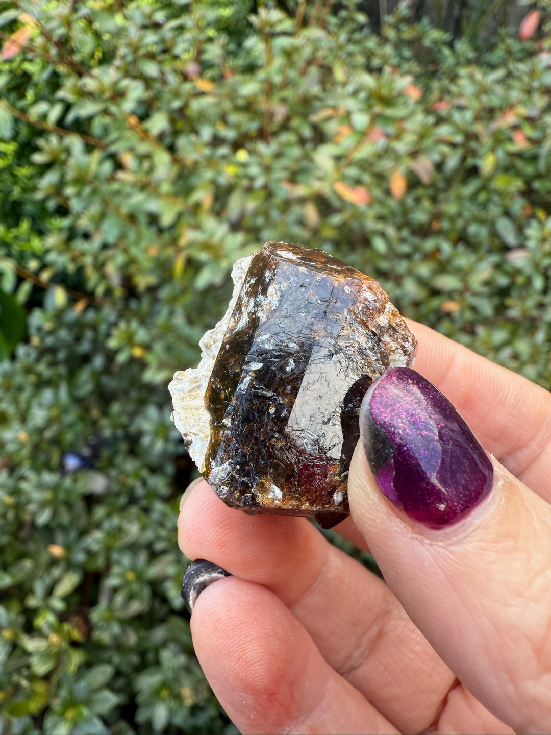 Terminated Yinnietharra Dravite Tourmaline