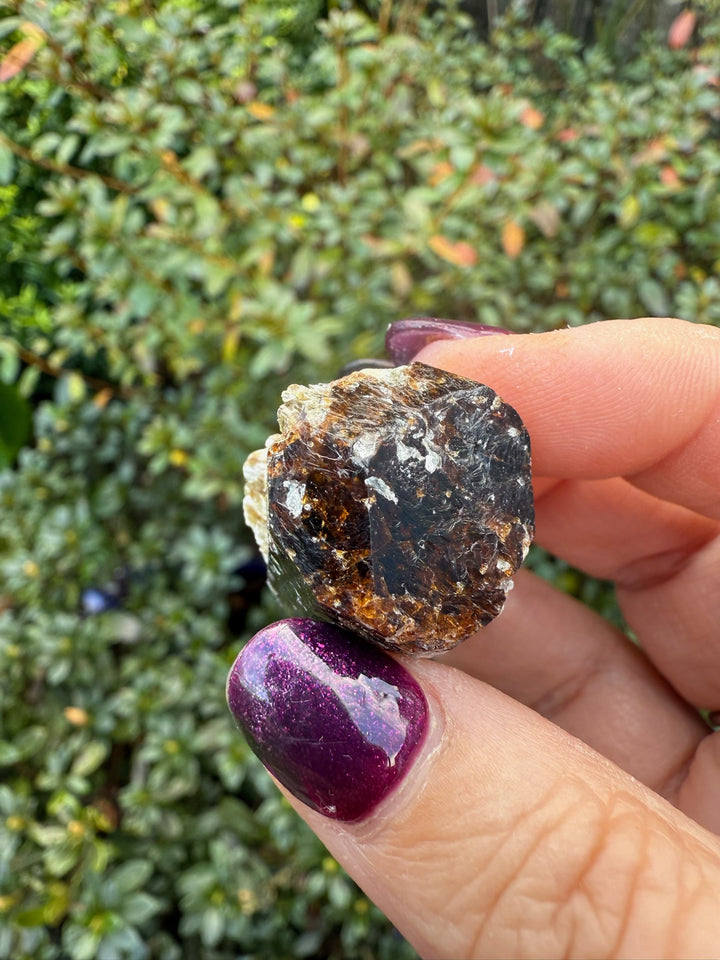 Terminated Yinnietharra Dravite Tourmaline