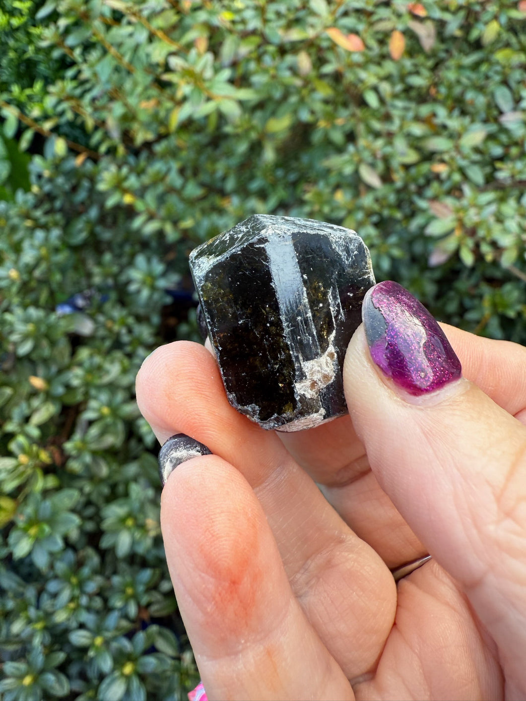 Terminated Dravite Tourmaline Specimen from Nepal