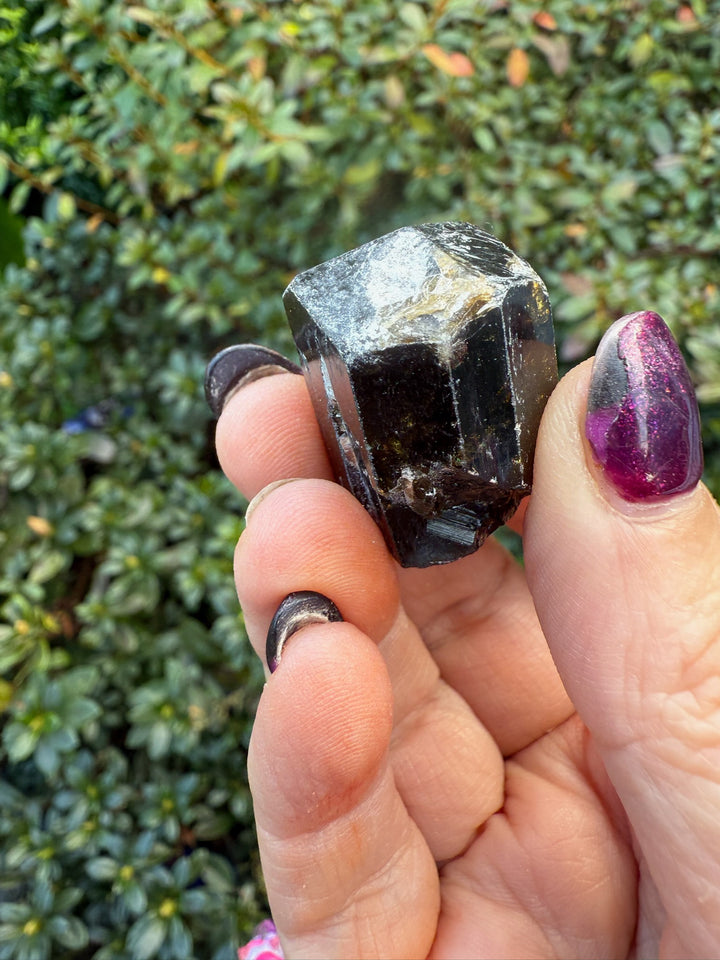 Terminated Dravite Tourmaline Specimen from Nepal