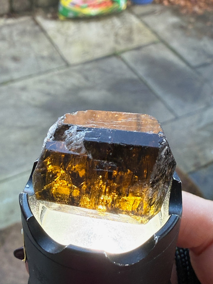 Terminated Dravite Tourmaline Specimen from Nepal