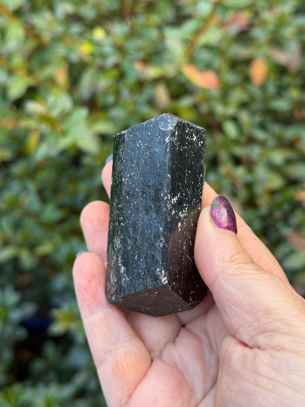 Double Terminated Black Tourmaline Specimen from Paraiba