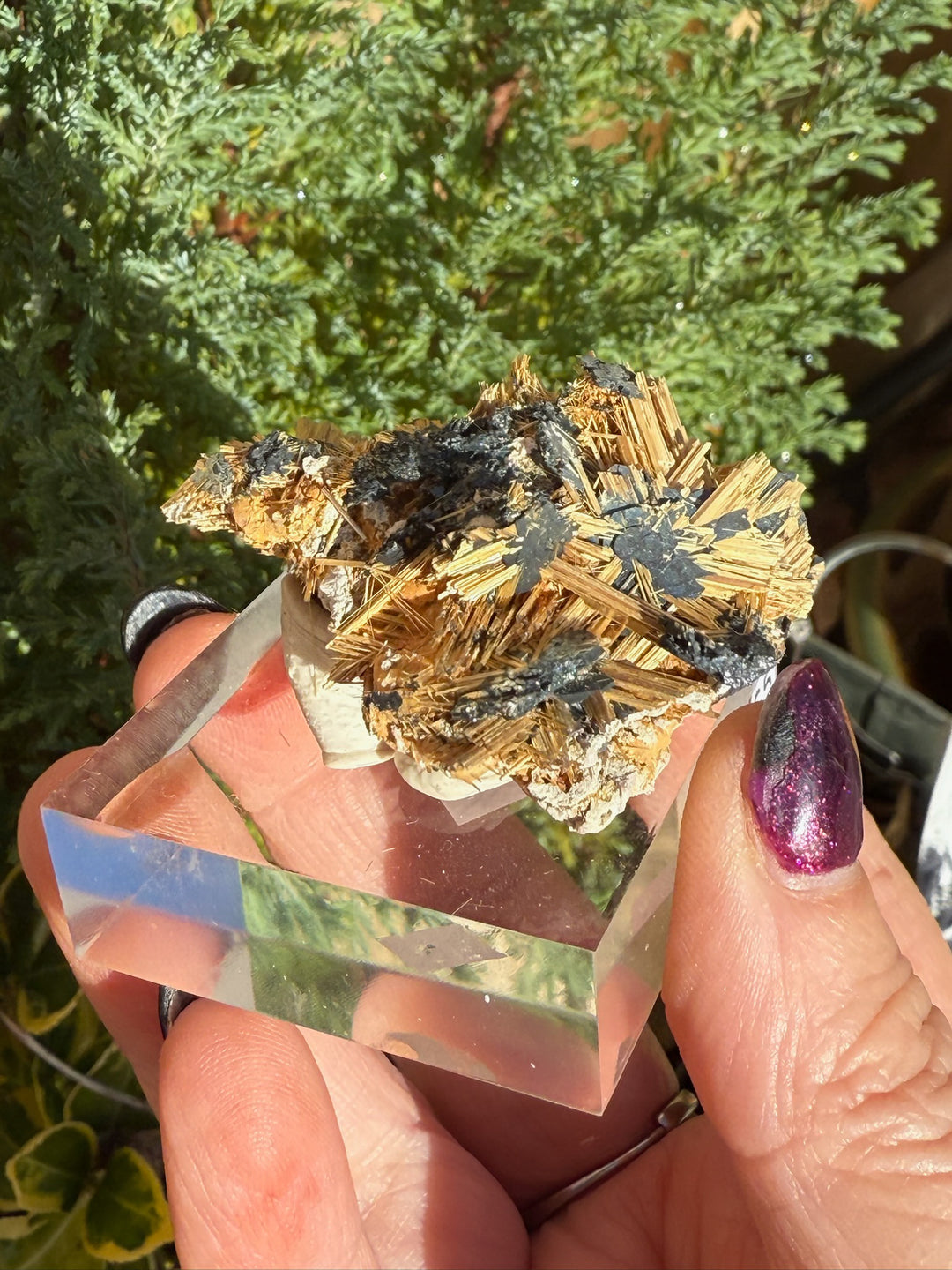 Spectacular Rutile and Hematite Specimen