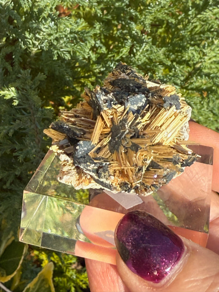 Spectacular Rutile and Hematite Specimen