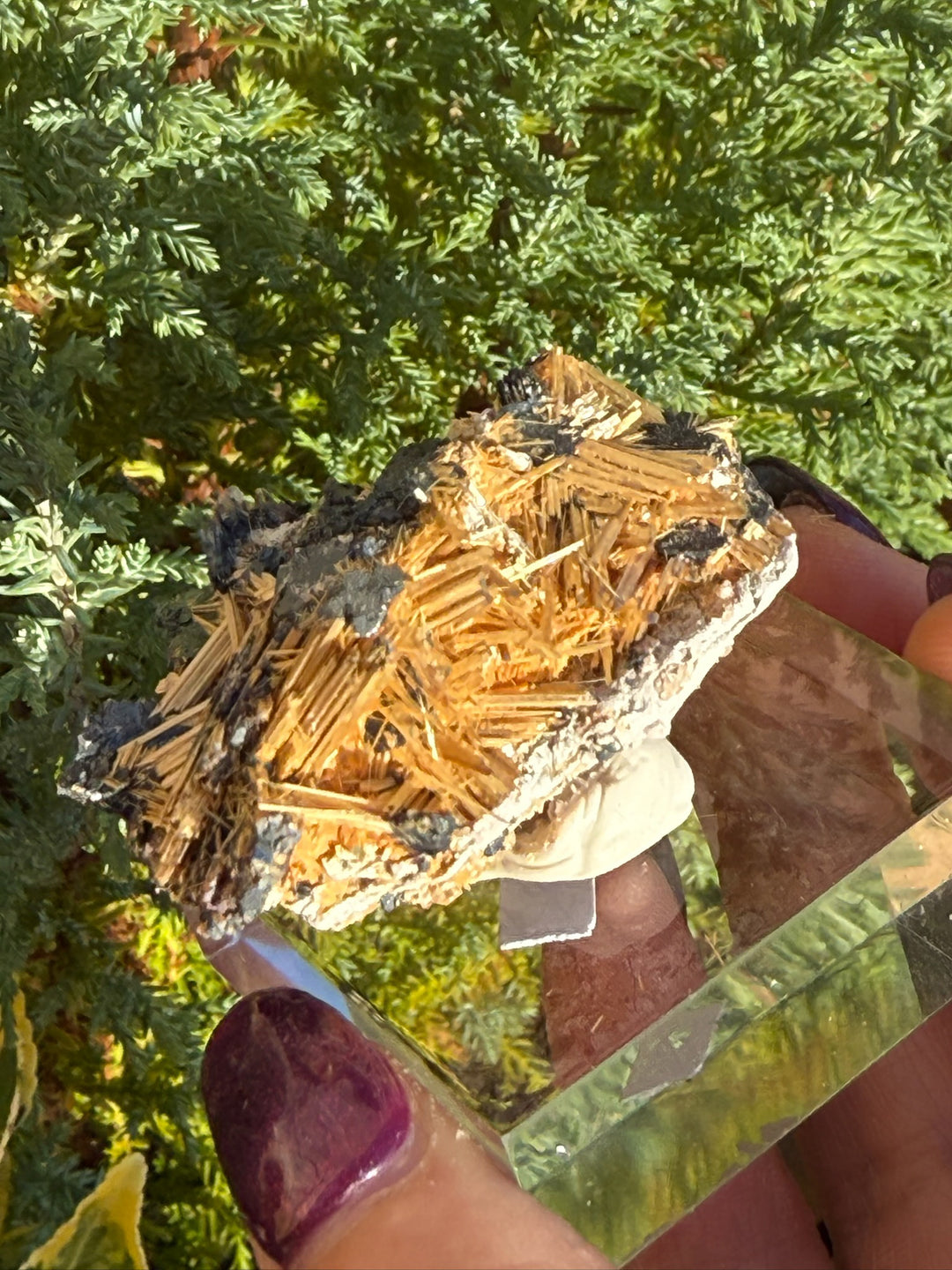 Spectacular Rutile and Hematite Specimen