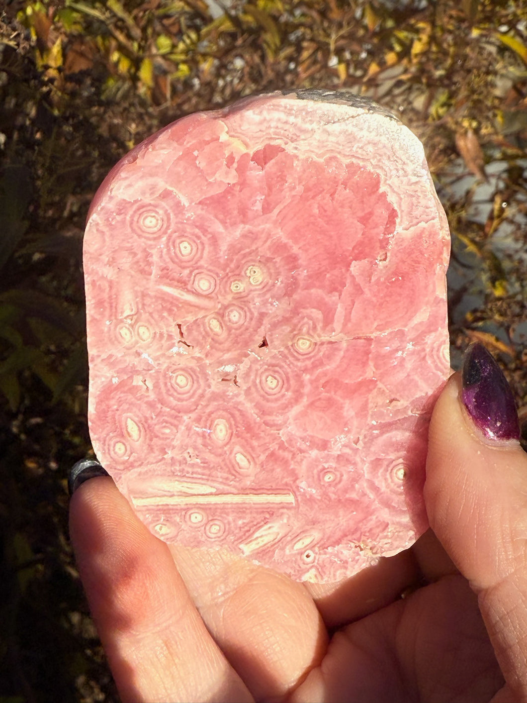 Rhodochrosite Stalactite Specimen from Argentina