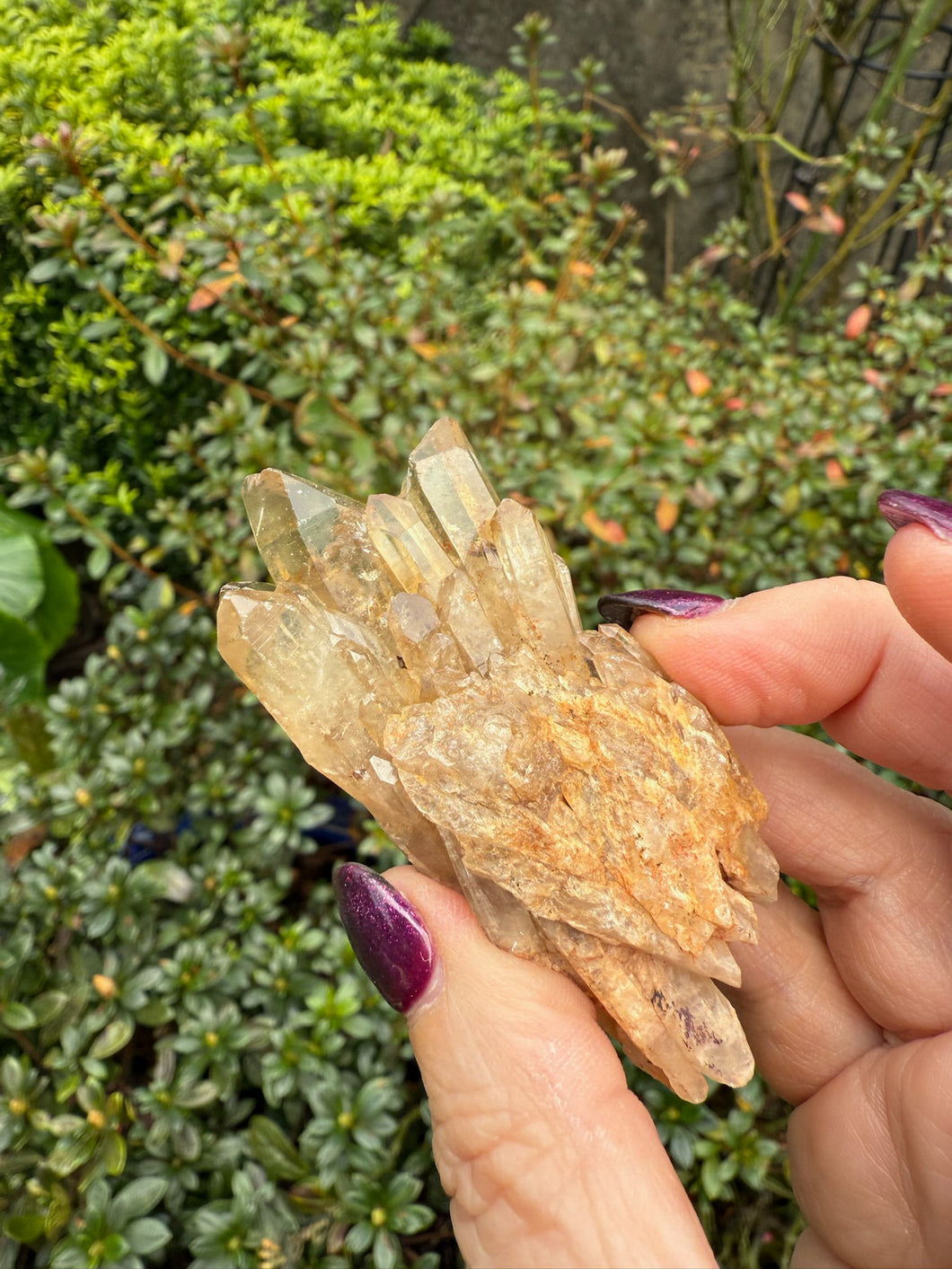 Natural Citrine Specimen from Congo