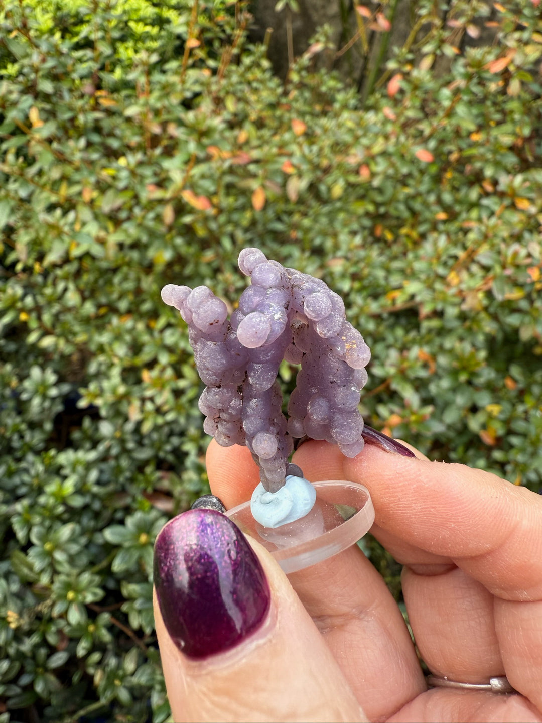 Grape Chalcedony Agate Specimen from Indonesia