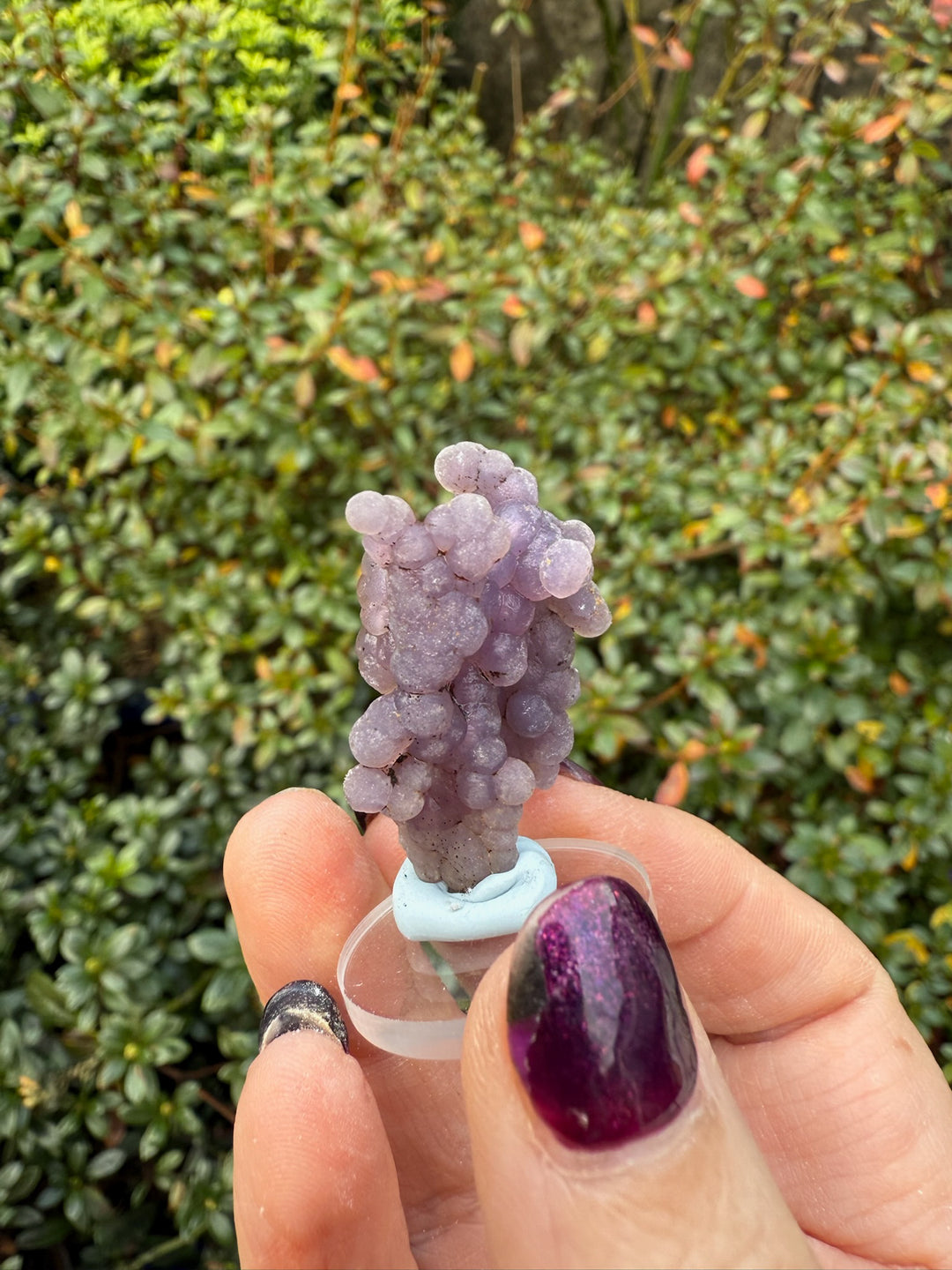 Grape Chalcedony Agate Specimen from Indonesia