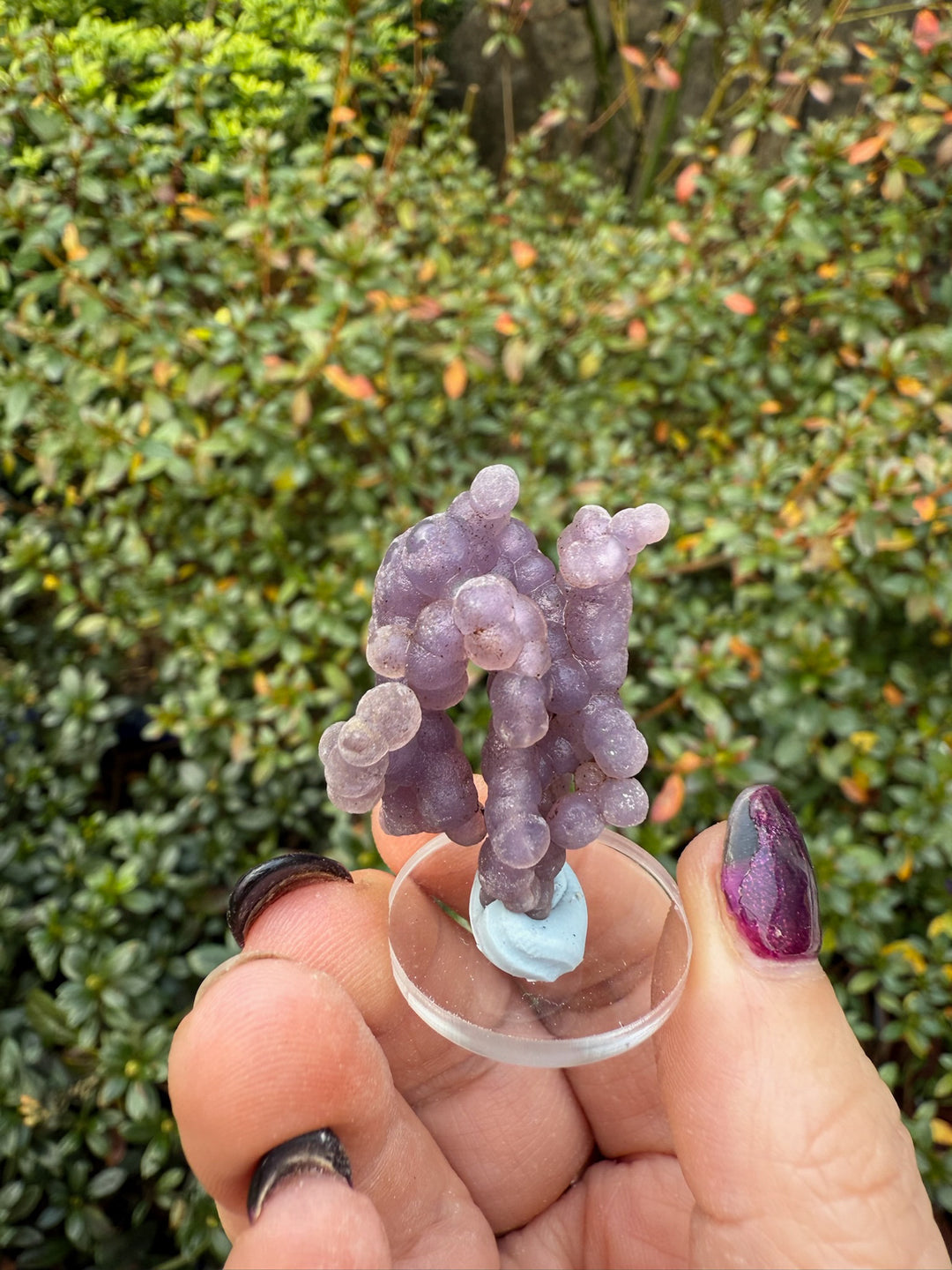 Grape Chalcedony Agate Specimen from Indonesia