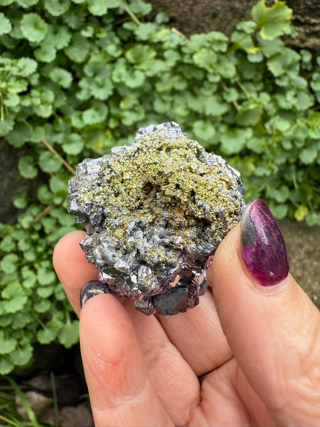 Chalcopyrite on Galena Specimen from Peru