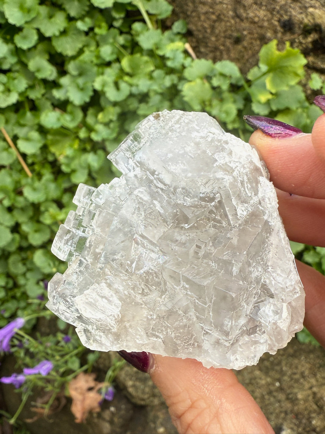 Clear Fluorite with Stalactite Specimen from Spain
