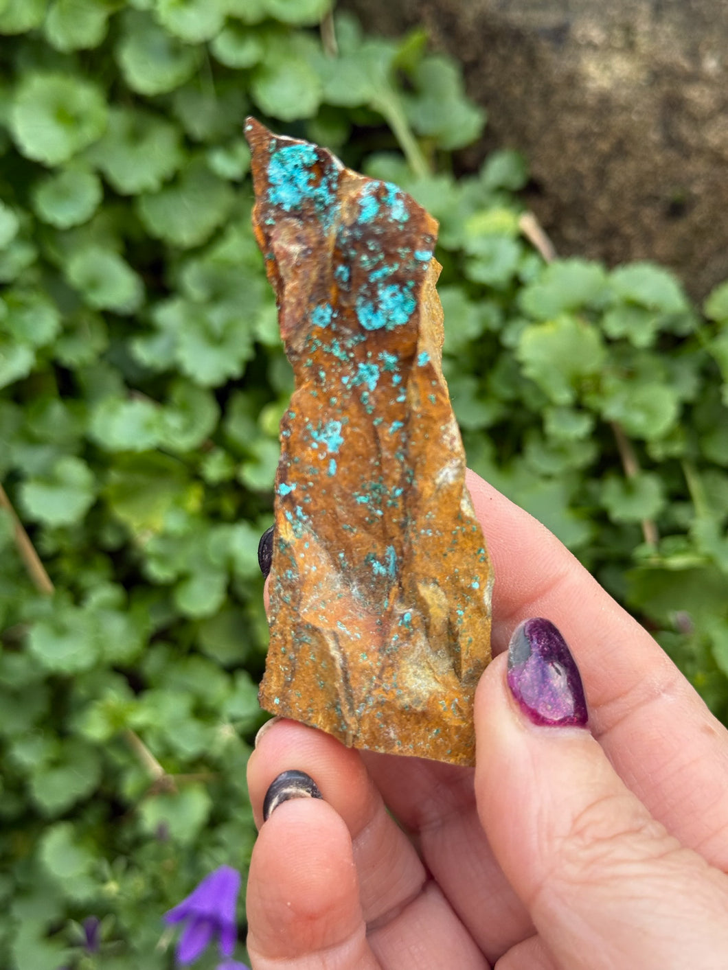 Langite specimen from Devon, UK