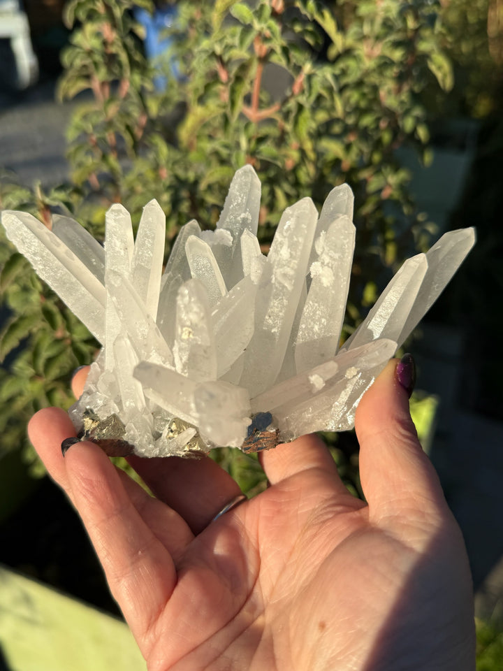 Quartz and Pyrite Specimen from Columbia