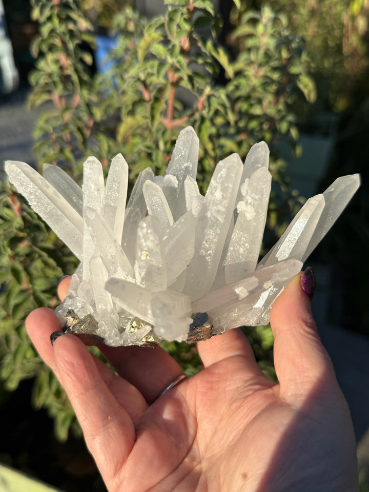 Quartz and Pyrite Specimen from Columbia