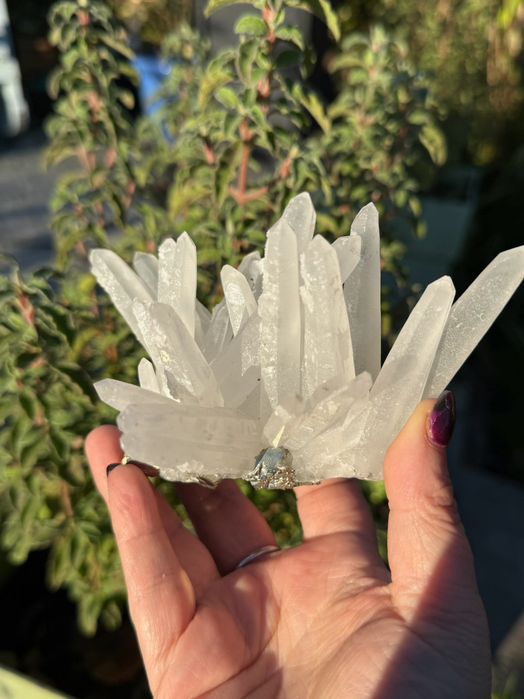 Quartz and Pyrite Specimen from Columbia