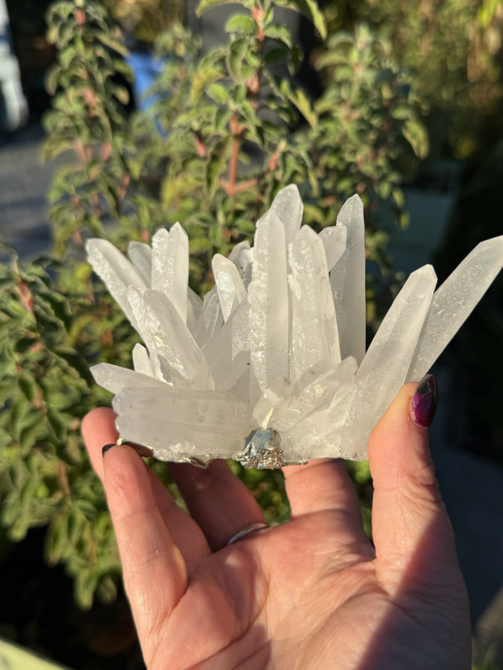 Quartz and Pyrite Specimen from Columbia