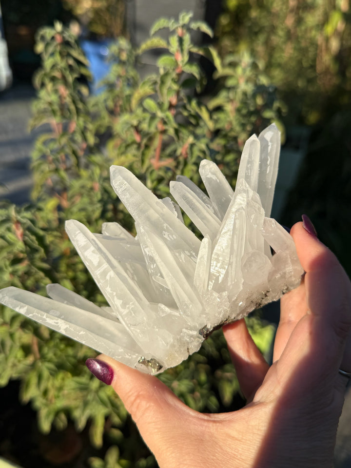 Quartz and Pyrite Specimen from Columbia