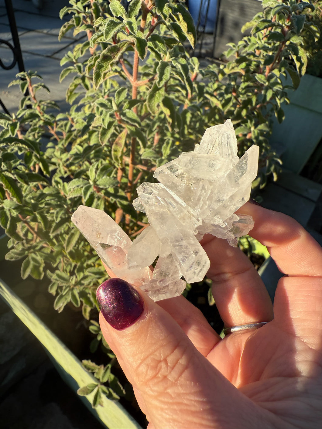 Clear Quartz Specimen from Arkansas USA