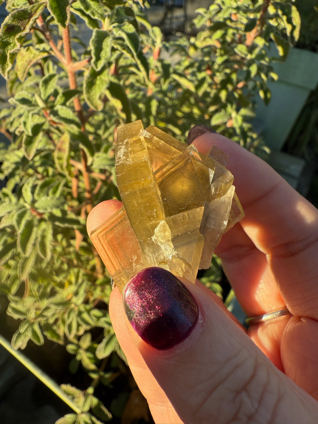 Rare Golden Phantom Barite Specimen From Peru