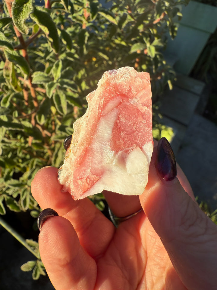 Natural Rough Pink Opal Specimen from Peru
