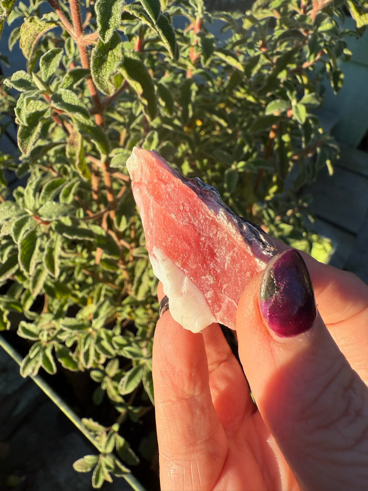 Natural Rough Pink Opal Specimen from Peru