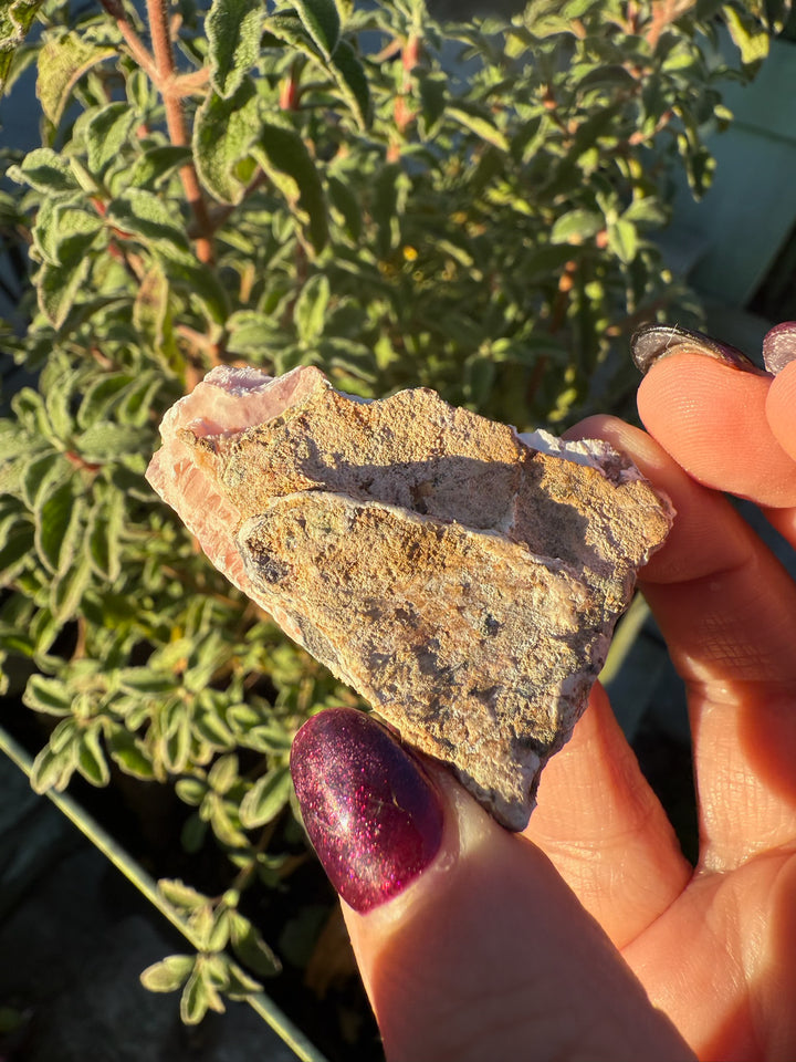 Natural Rough Pink Opal Specimen from Peru