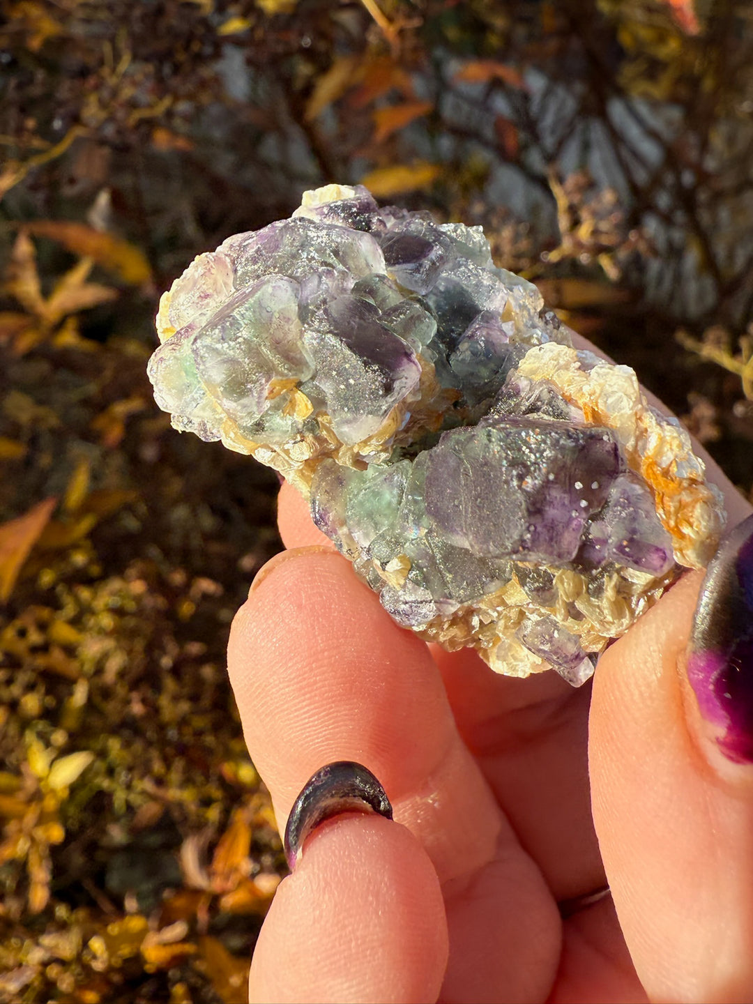Fluorite with Muscovite Specimen from Erongo Namibia