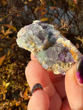 Load image into Gallery viewer, Fluorite with Muscovite Specimen from Erongo Namibia
