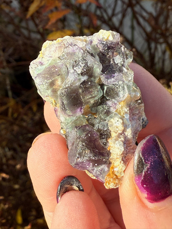 Fluorite with Muscovite Specimen from Erongo Namibia