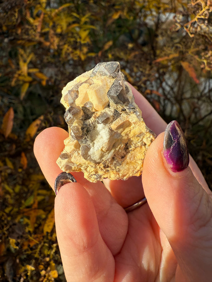 Smoky Quartz and Orthoclase Specimen from USA