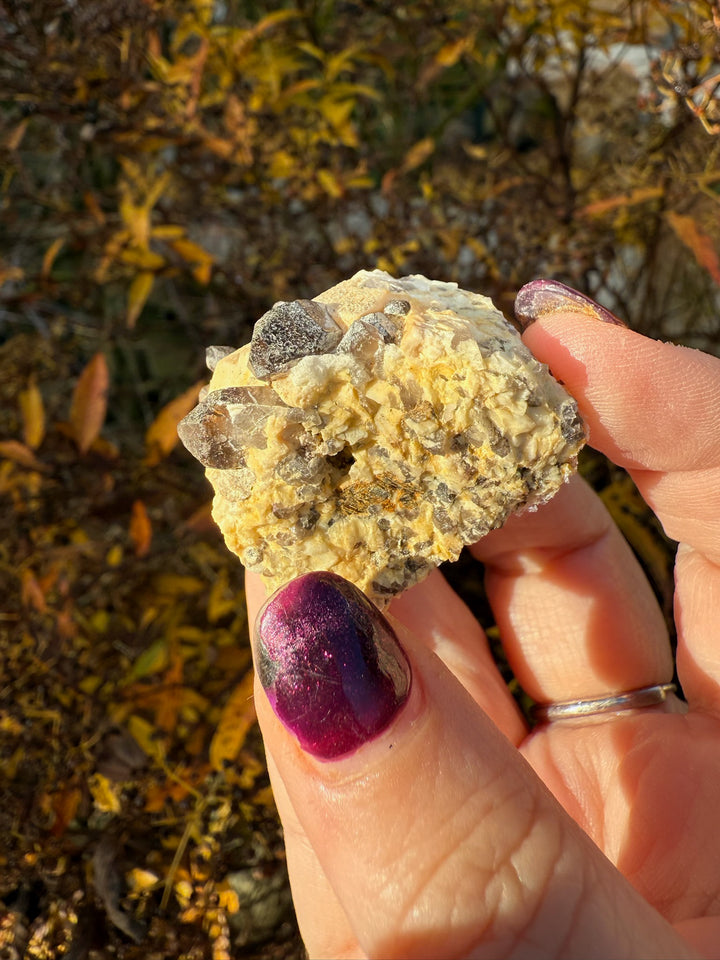 Smoky Quartz and Orthoclase Specimen from USA