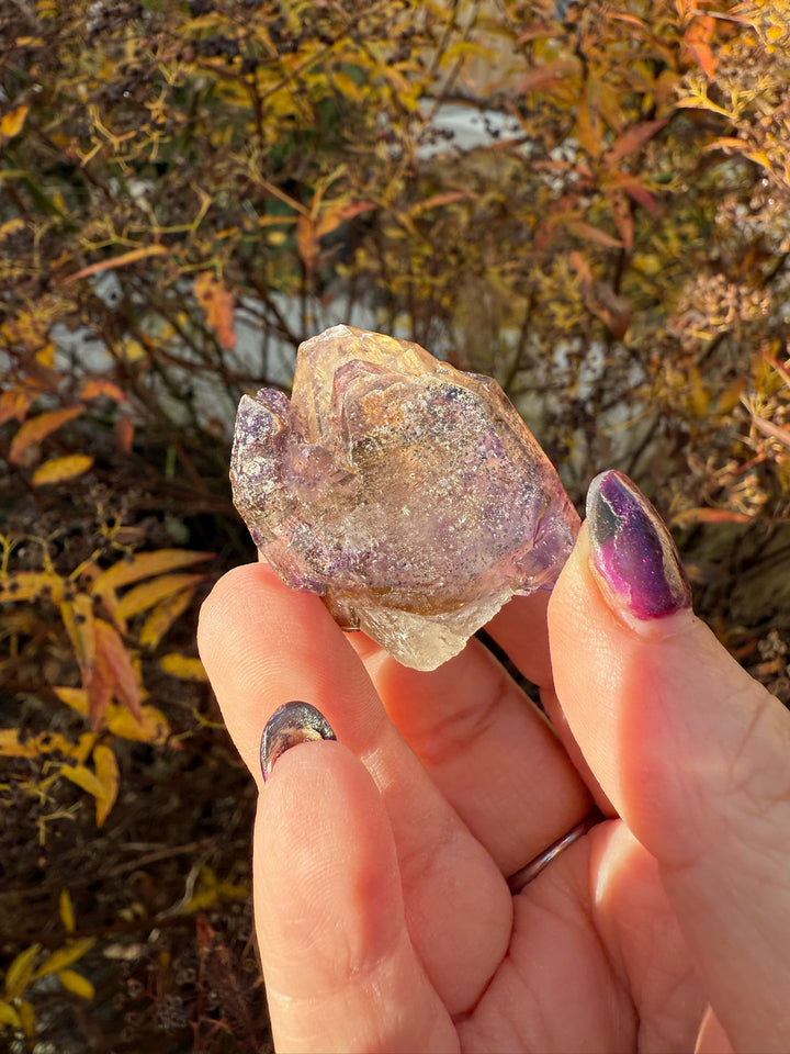 Elestial Smoky Quartz and Amethyst Specimen from Malawi
