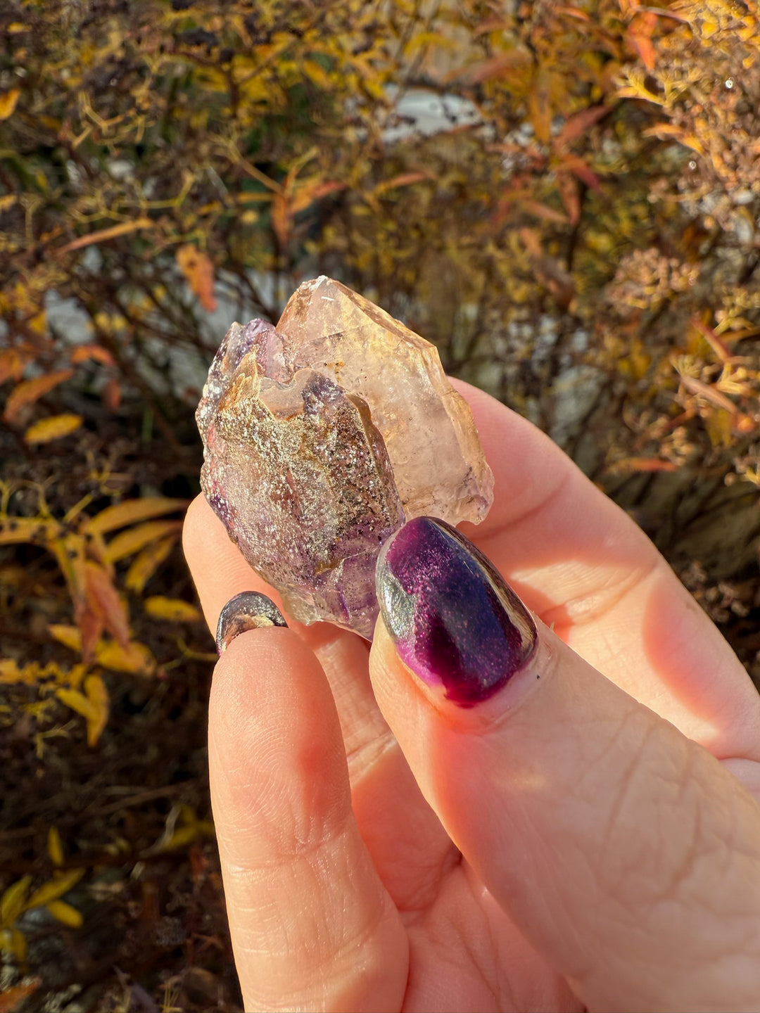 Elestial Smoky Quartz and Amethyst Specimen from Malawi