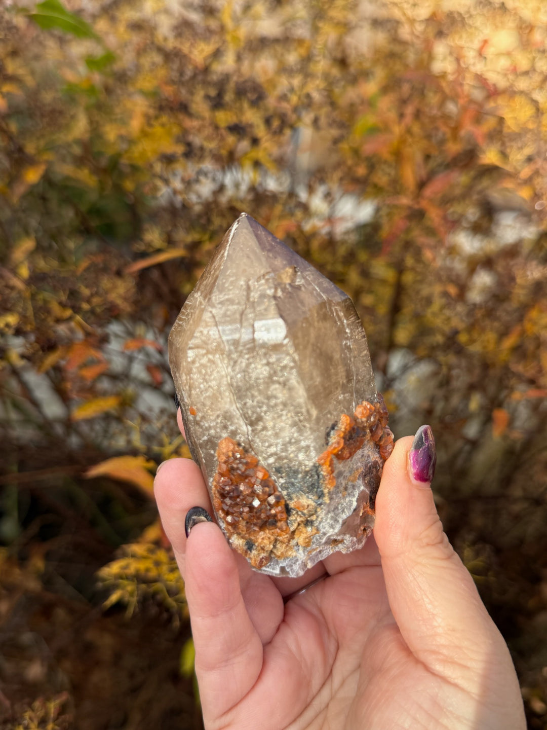 Large Elestial Smoky Quartz with Garnet