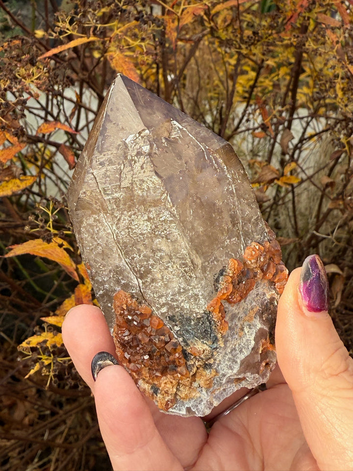 Large Elestial Smoky Quartz with Garnet