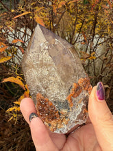 Load image into Gallery viewer, Large Elestial Smoky Quartz with Garnet
