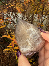 Load image into Gallery viewer, Large Elestial Smoky Quartz with Garnet
