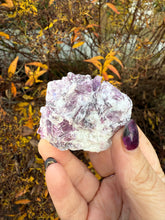 Load image into Gallery viewer, Lepidolite Mice Specimen
