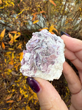 Load image into Gallery viewer, Lepidolite Mice Specimen
