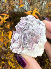Load image into Gallery viewer, Lepidolite Mice Specimen
