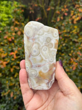 Load image into Gallery viewer, Freestanding Crazy Lace Agate Specimen from Mexico
