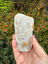 Load image into Gallery viewer, Freestanding Crazy Lace Agate Specimen from Mexico
