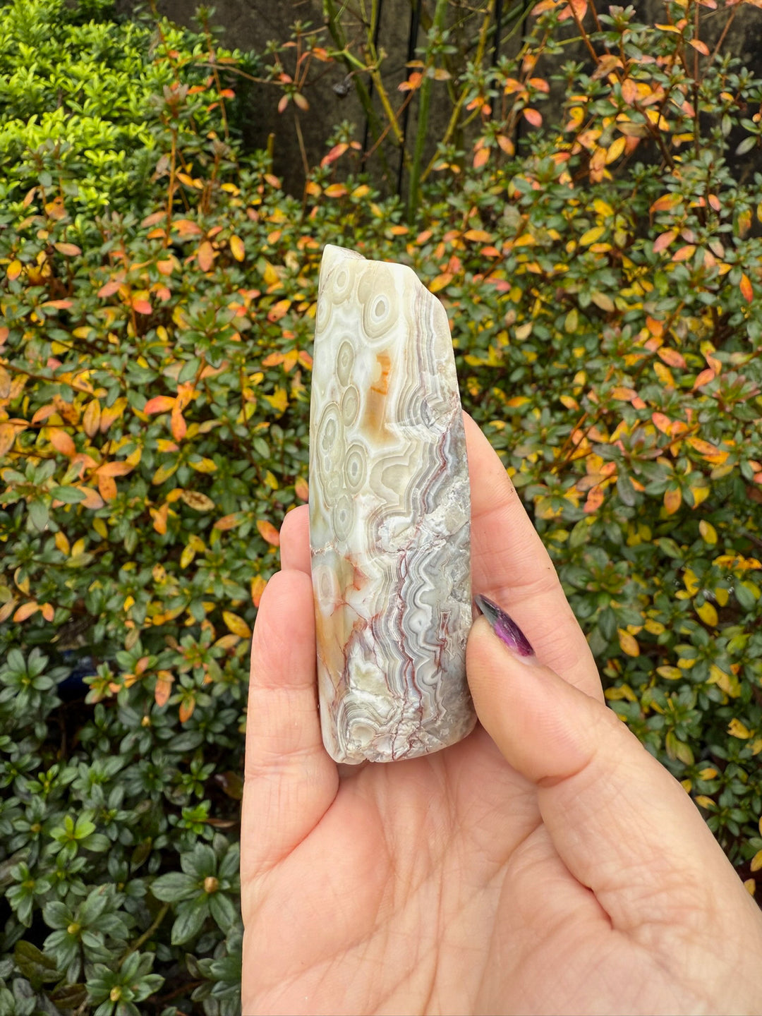 Freestanding Crazy Lace Agate Specimen from Mexico