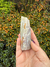 Load image into Gallery viewer, Freestanding Crazy Lace Agate Specimen from Mexico
