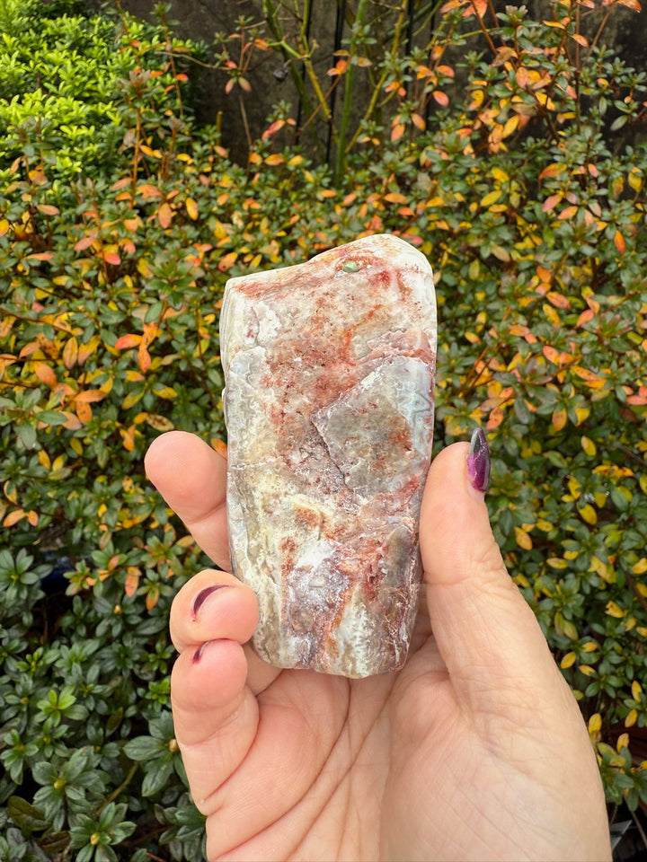 Freestanding Crazy Lace Agate Specimen from Mexico